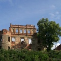Zamek Siedlisko (20060815 0011)